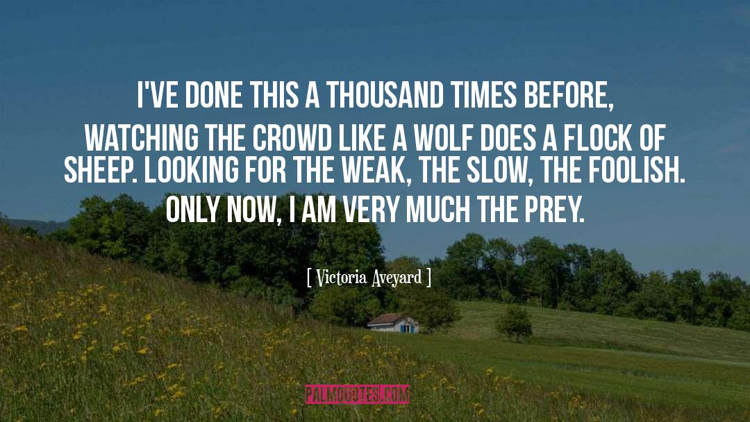 Devilish Wolf quotes by Victoria Aveyard