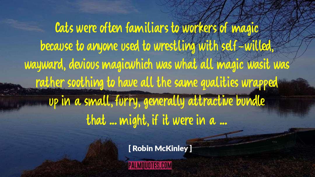 Devious quotes by Robin McKinley
