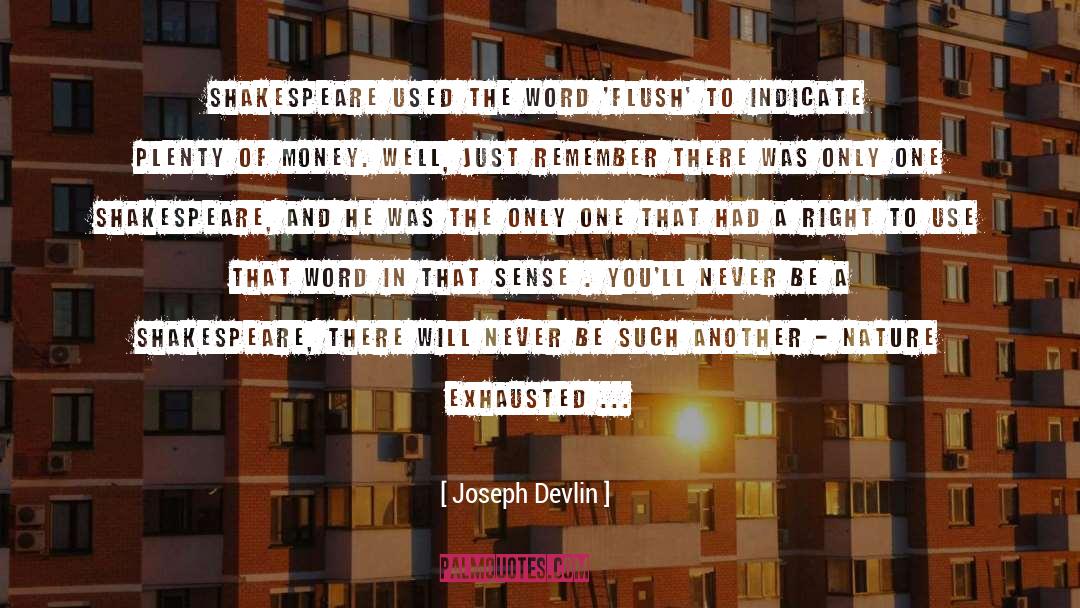Devlin quotes by Joseph Devlin