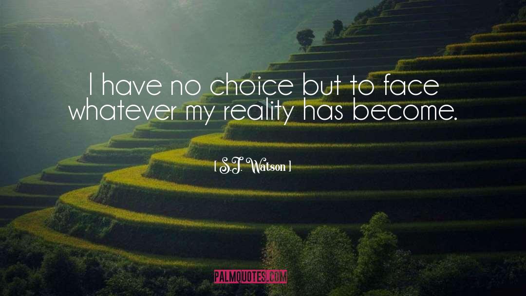 Devon S Choice quotes by S.J. Watson