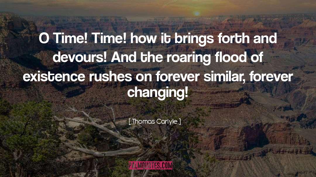 Devours quotes by Thomas Carlyle