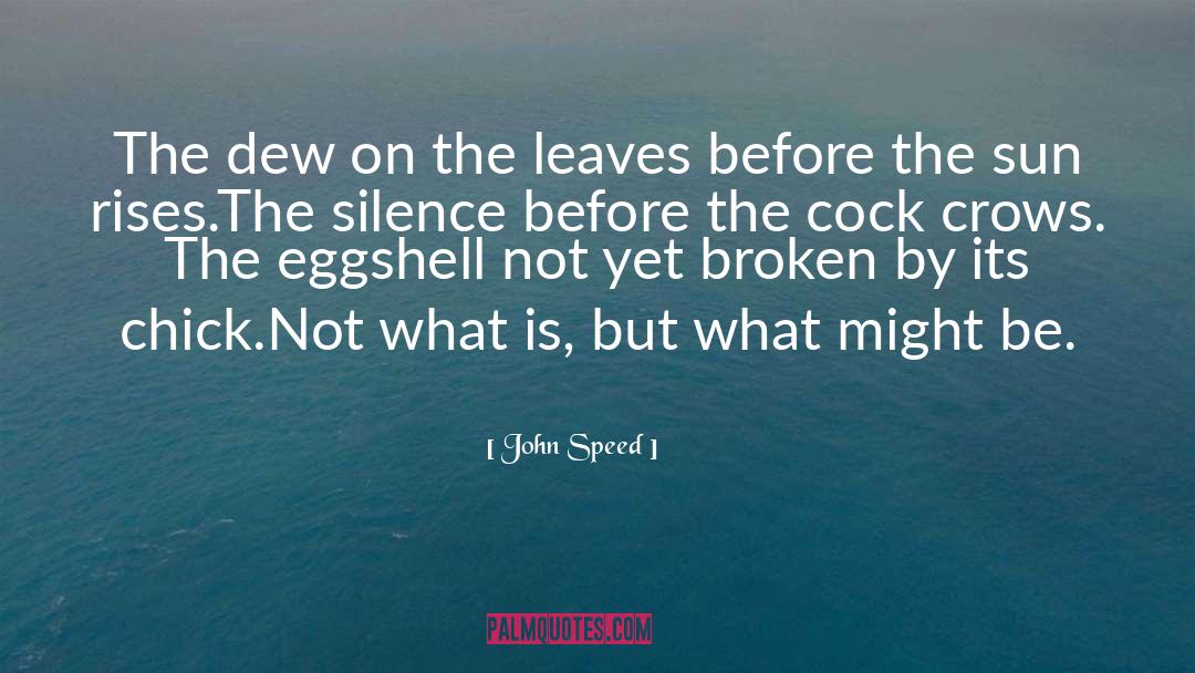 Dew Platt quotes by John Speed