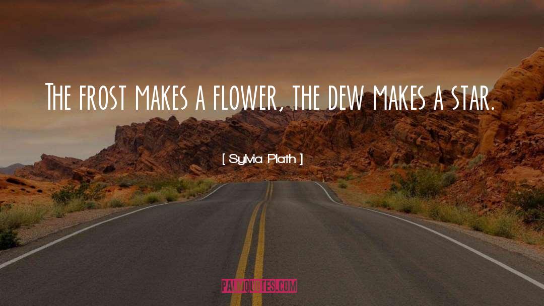 Dew quotes by Sylvia Plath