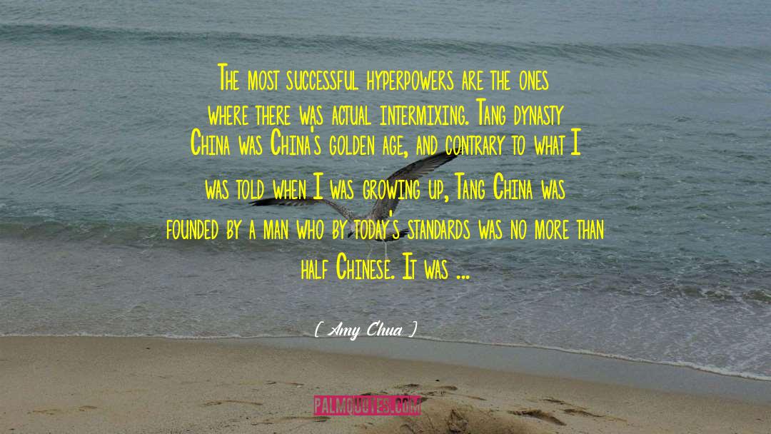 Dewarren Dynasty quotes by Amy Chua
