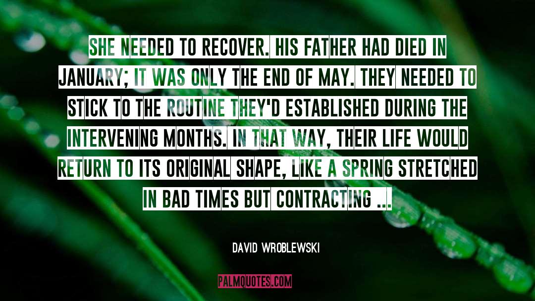 Dewolfe Contracting quotes by David Wroblewski