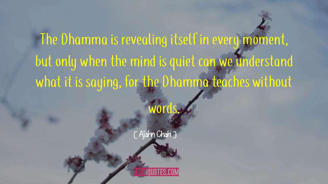 Dhamma quotes by Ajahn Chah