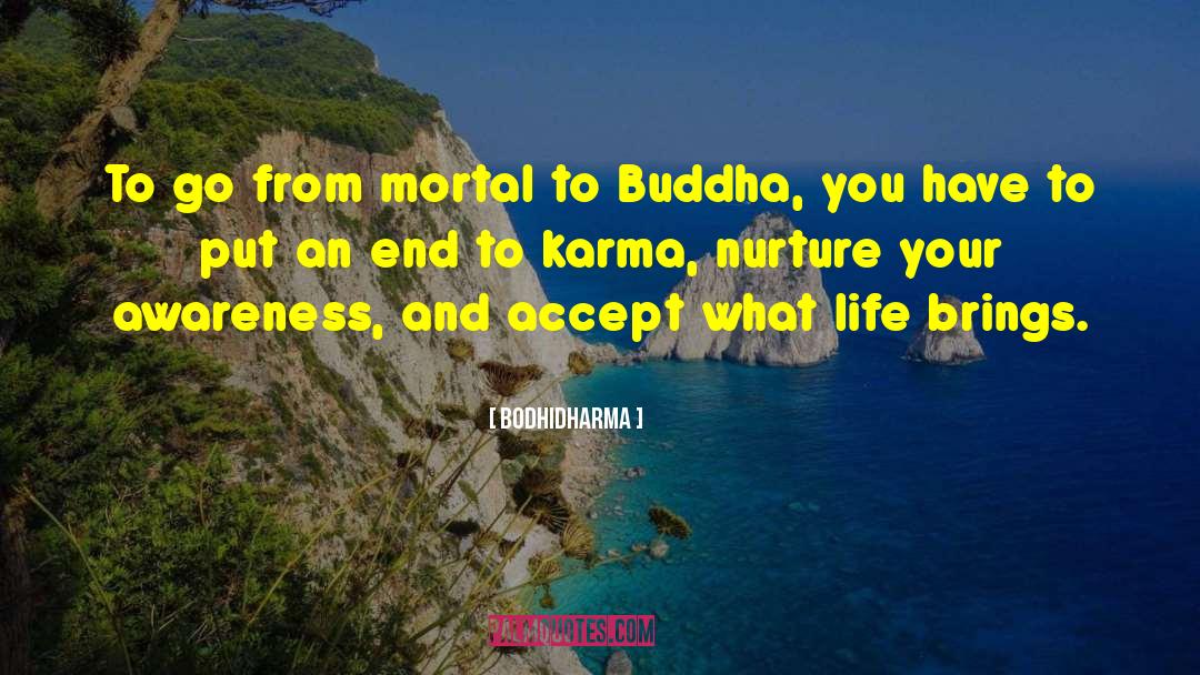 Dharma quotes by Bodhidharma