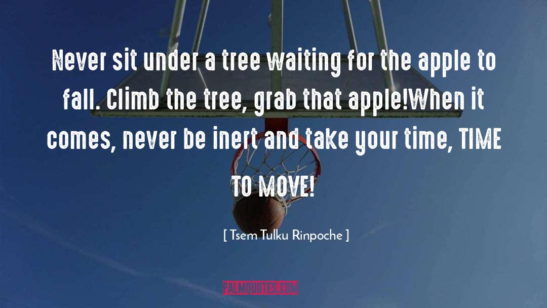 Dharma quotes by Tsem Tulku Rinpoche