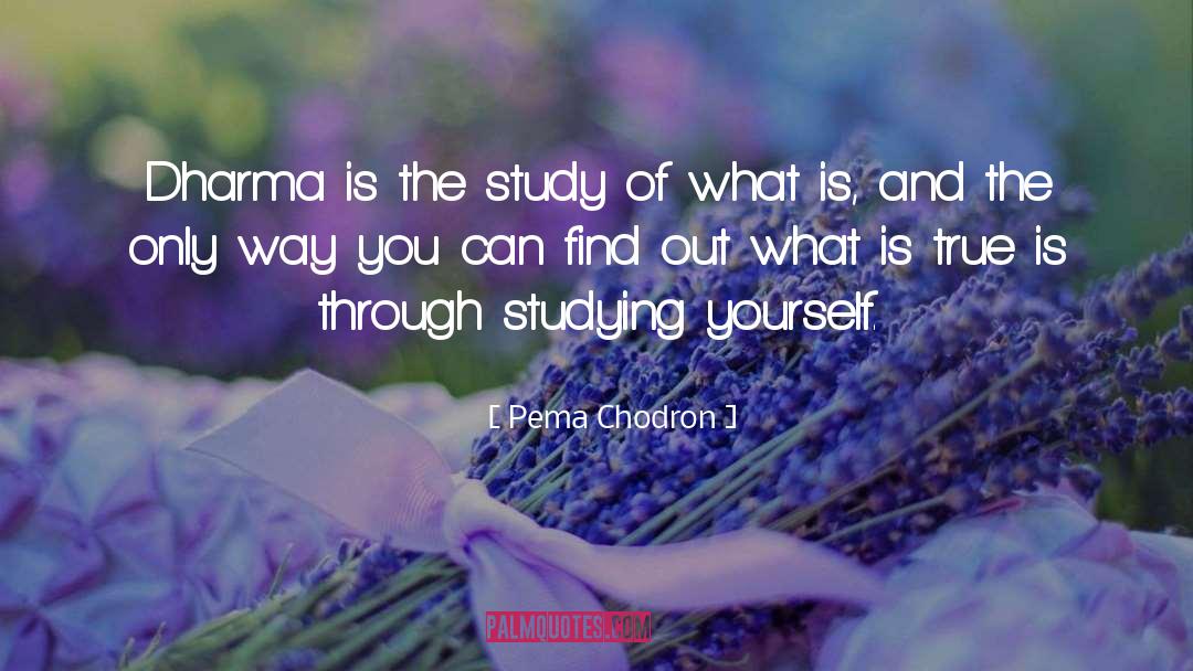 Dharma quotes by Pema Chodron