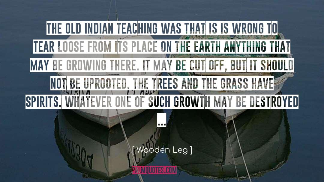 Dharma Teaching quotes by Wooden Leg