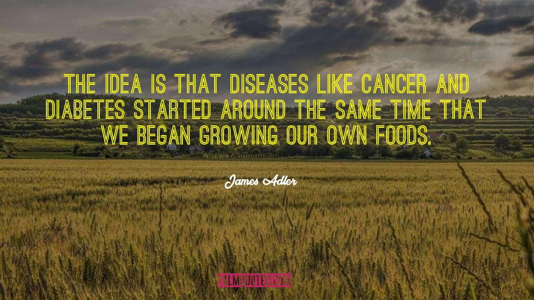 Diabetes quotes by James Adler