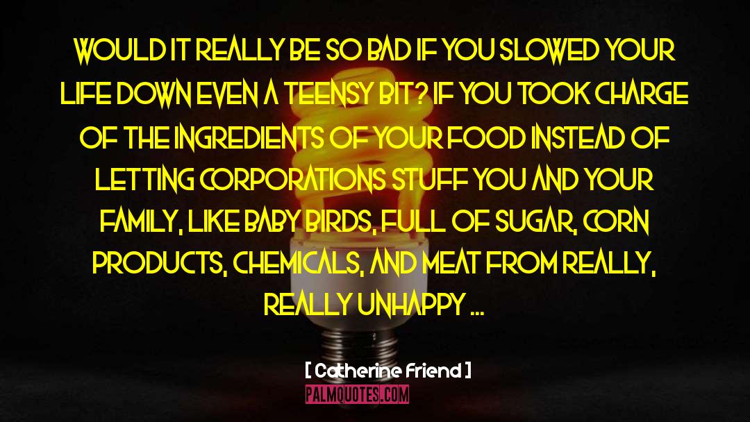 Diabetic Friendly Cooking quotes by Catherine Friend