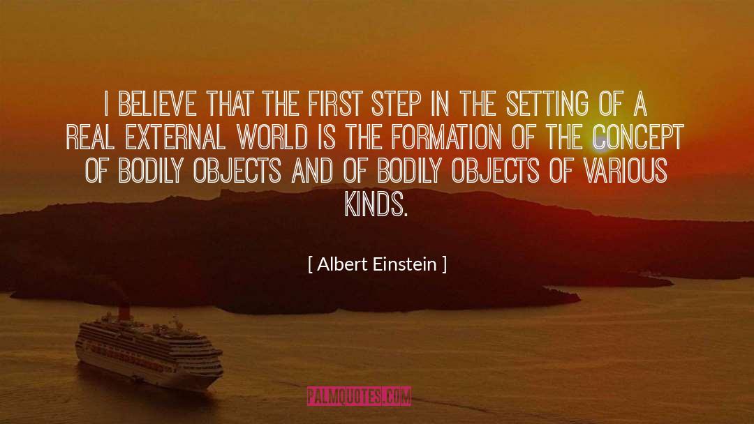 Diaconate Formation quotes by Albert Einstein