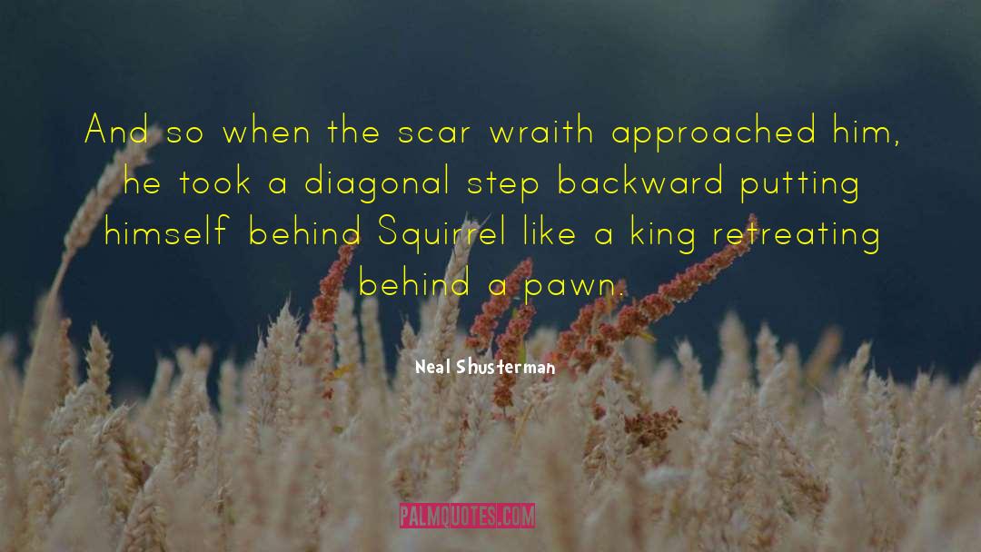 Diagonal quotes by Neal Shusterman