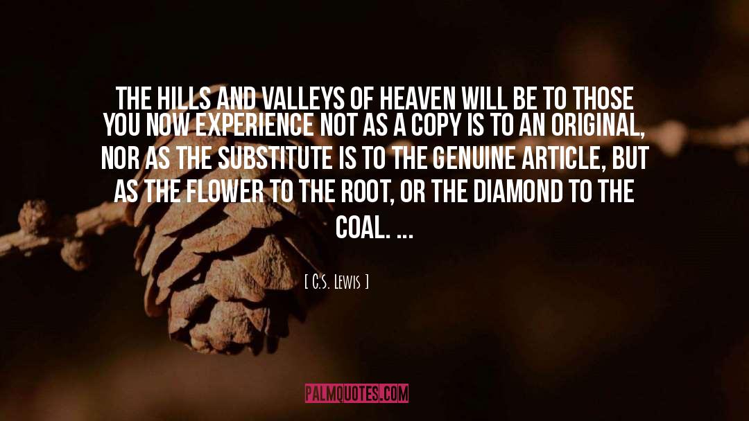 Diamond quotes by C.S. Lewis