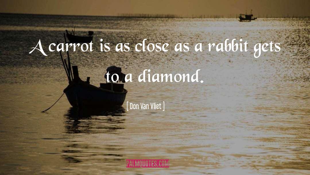 Diamond quotes by Don Van Vliet