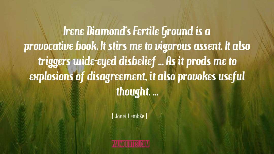 Diamond quotes by Janet Lembke