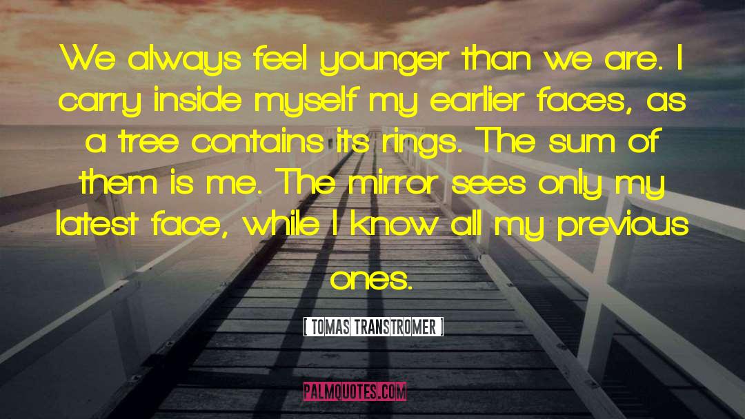 Diamond Rings quotes by Tomas Transtromer