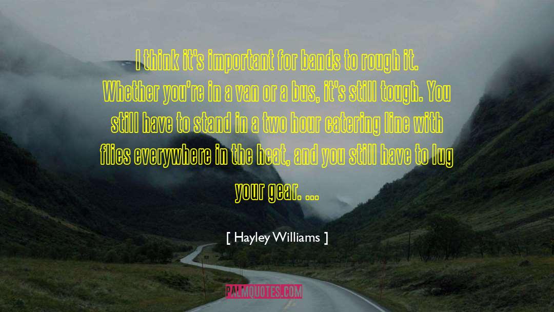 Diamonds In The Rough quotes by Hayley Williams