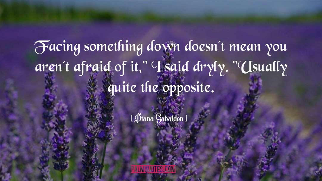 Diana Bishop quotes by Diana Gabaldon