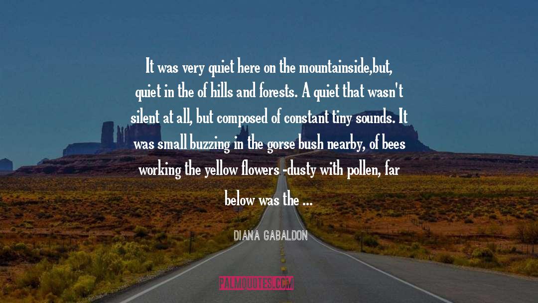 Diana Gabaldon quotes by Diana Gabaldon