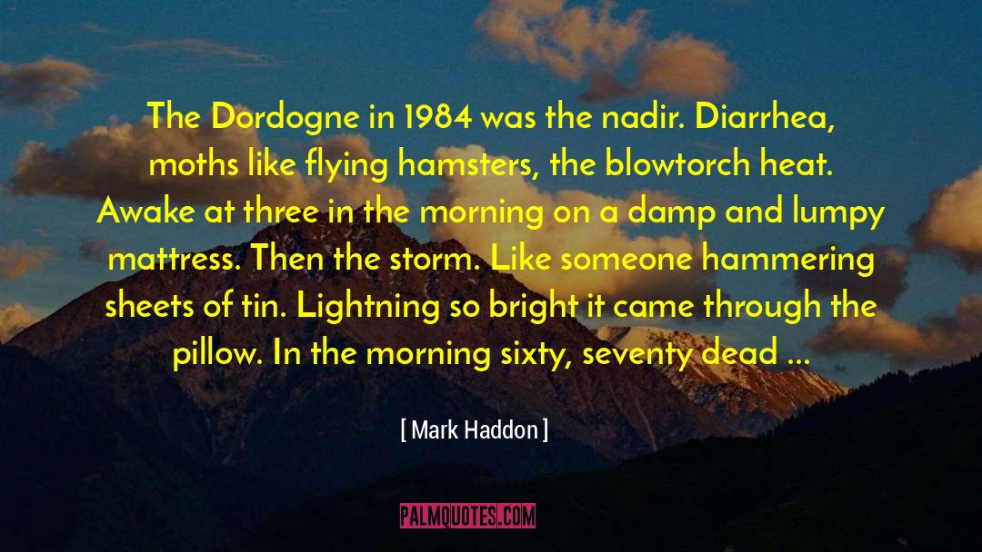Diarrhea quotes by Mark Haddon