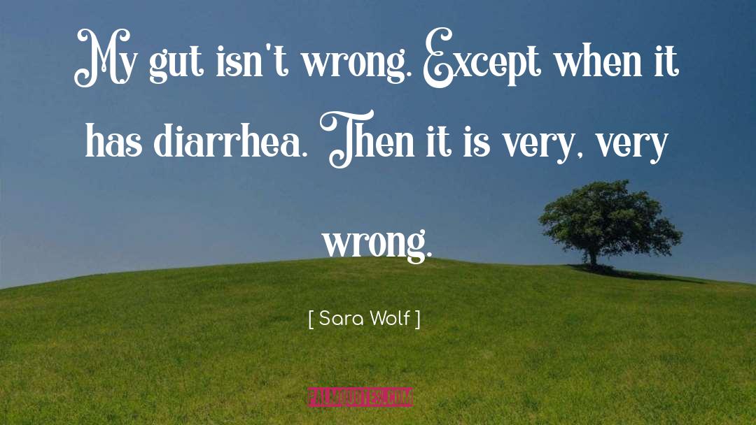 Diarrhea quotes by Sara Wolf