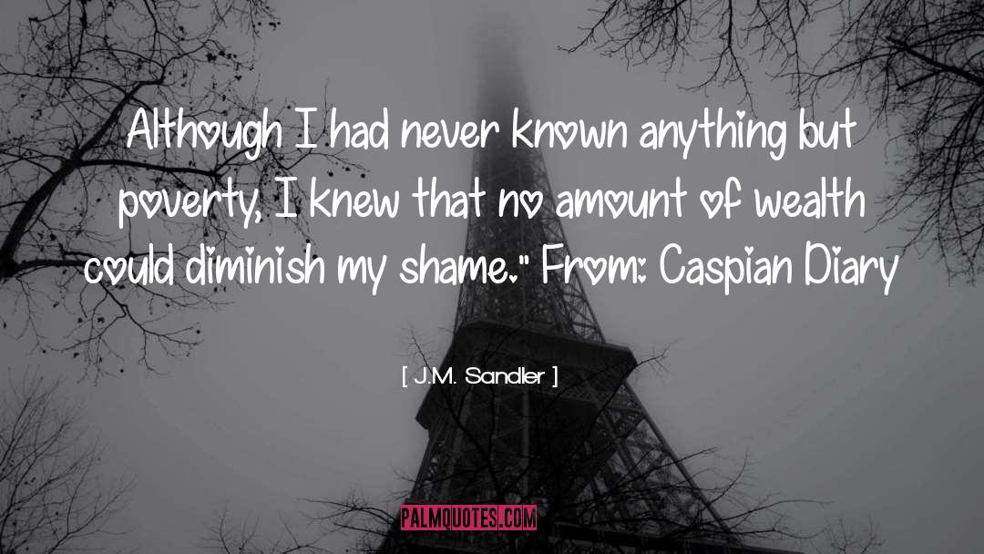 Diary quotes by J.M. Sandler