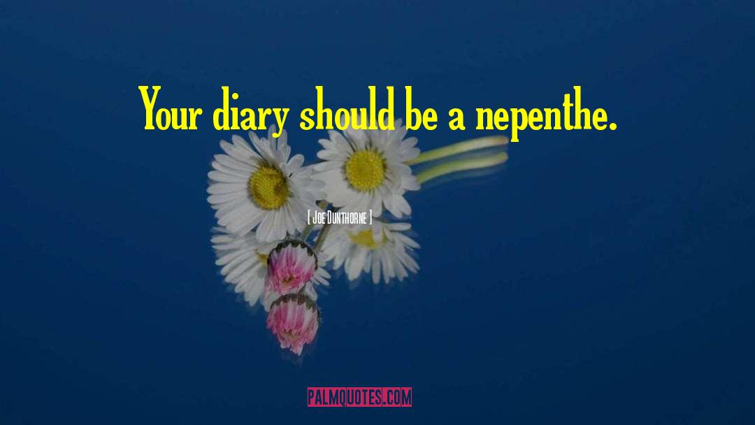 Diary Writing Habit quotes by Joe Dunthorne