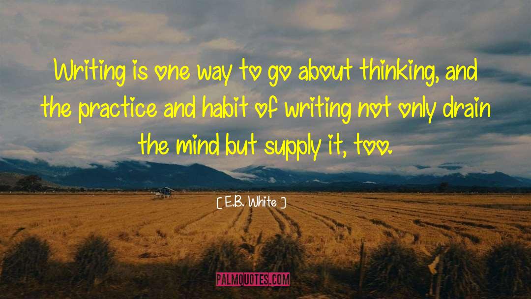 Diary Writing Habit quotes by E.B. White