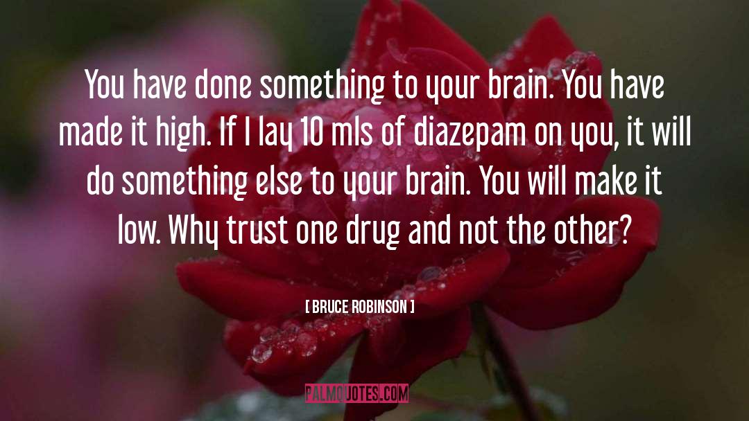 Diazepam quotes by Bruce Robinson
