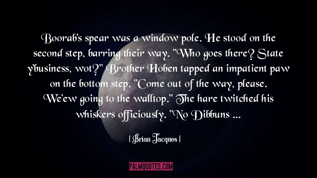 Dibbuns quotes by Brian Jacques