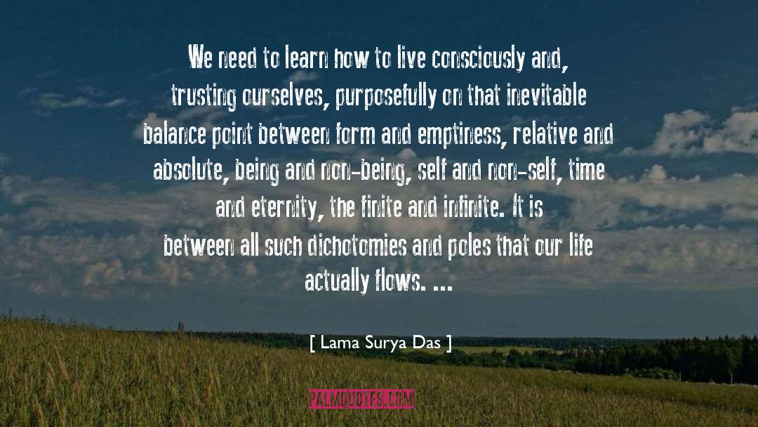 Dichotomies quotes by Lama Surya Das