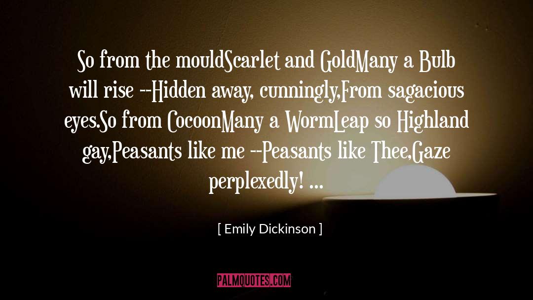 Dickinson quotes by Emily Dickinson