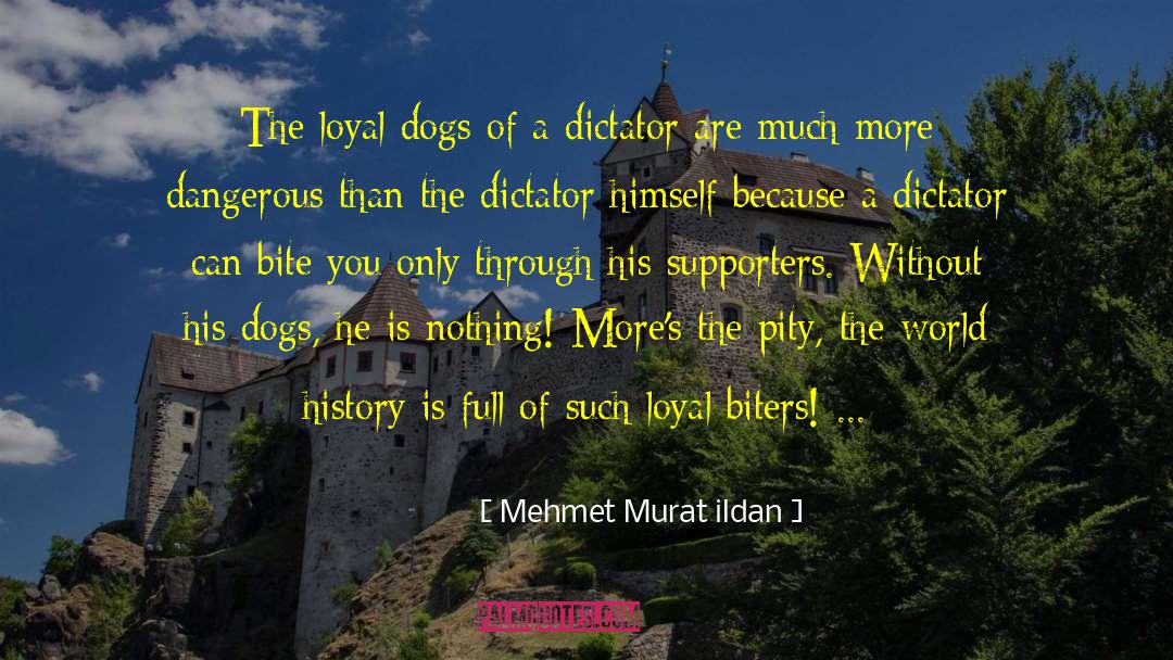 Dictator quotes by Mehmet Murat Ildan