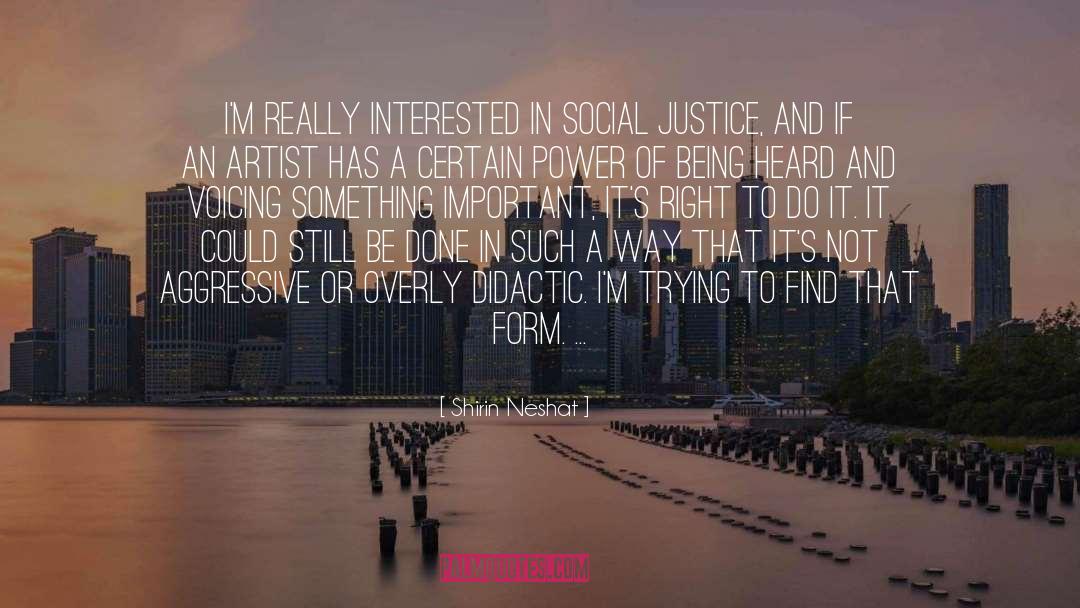 Didactic quotes by Shirin Neshat