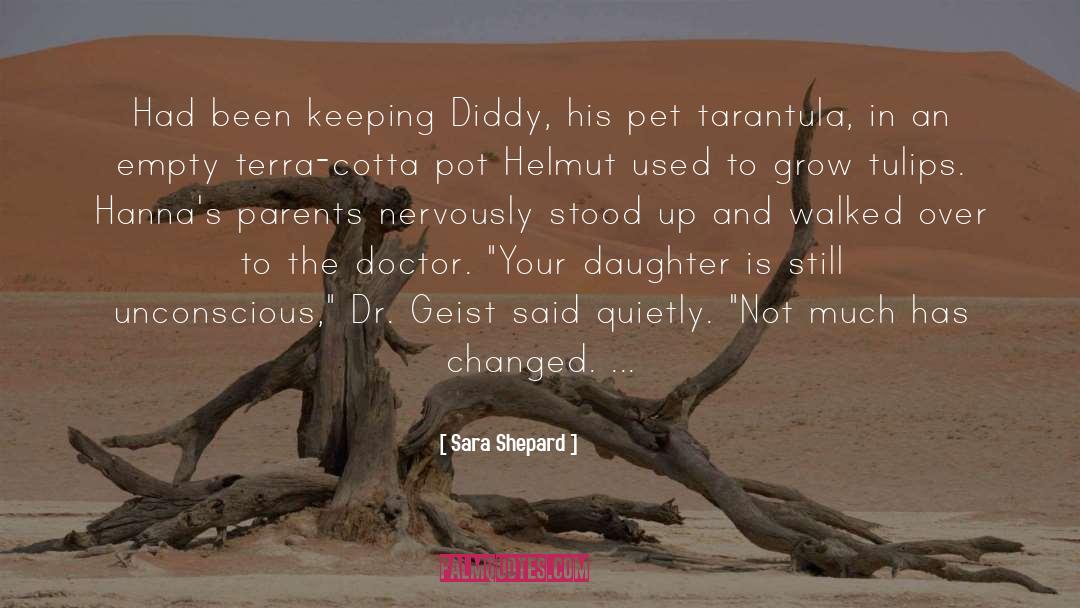 Diddy Net quotes by Sara Shepard
