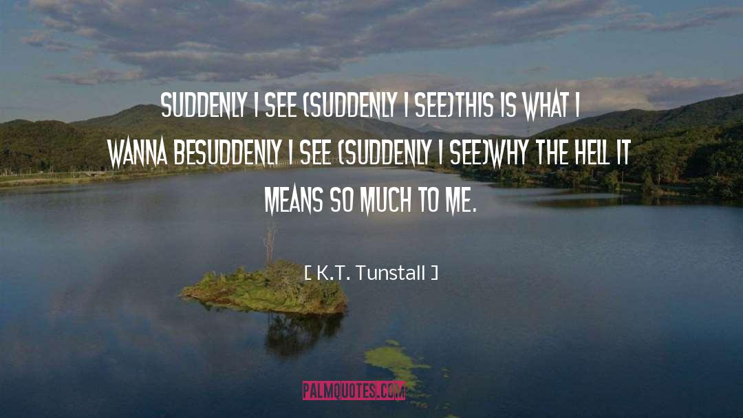 Didn T Mean To quotes by K.T. Tunstall