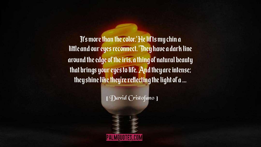 Didn T Shine quotes by David Cristofano