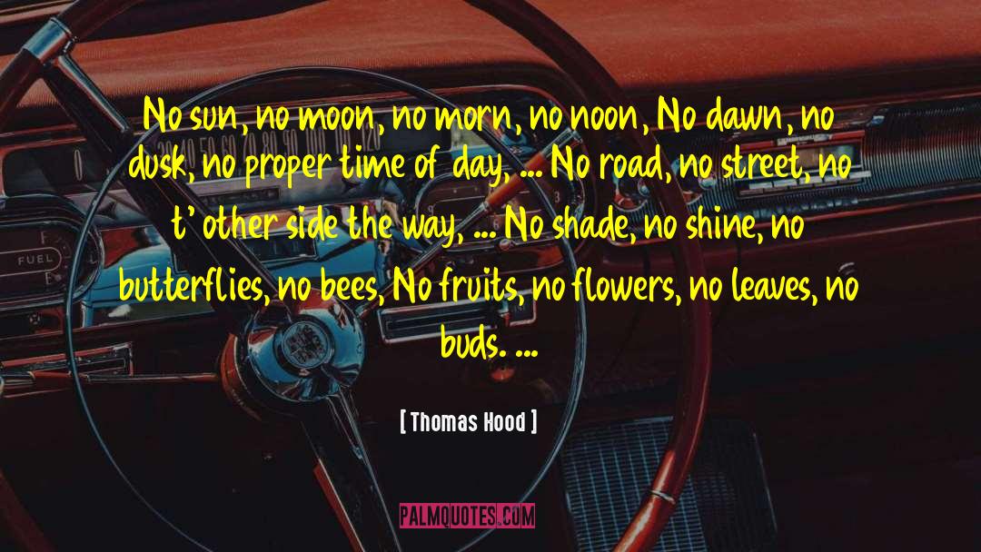 Didn T Shine quotes by Thomas Hood