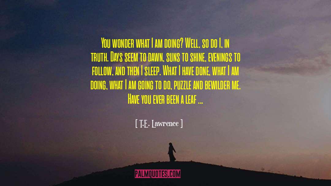Didn T Shine quotes by T.E. Lawrence