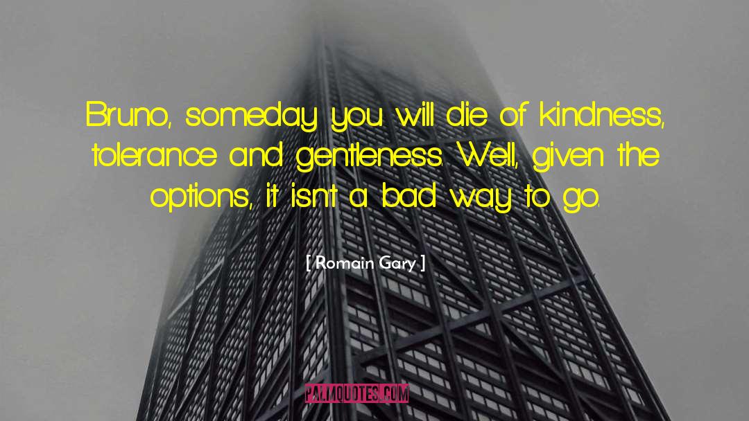 Die Someday Lyrics quotes by Romain Gary
