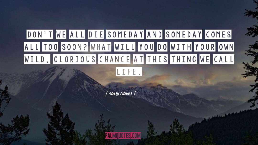 Die Someday Lyrics quotes by Mary Oliver