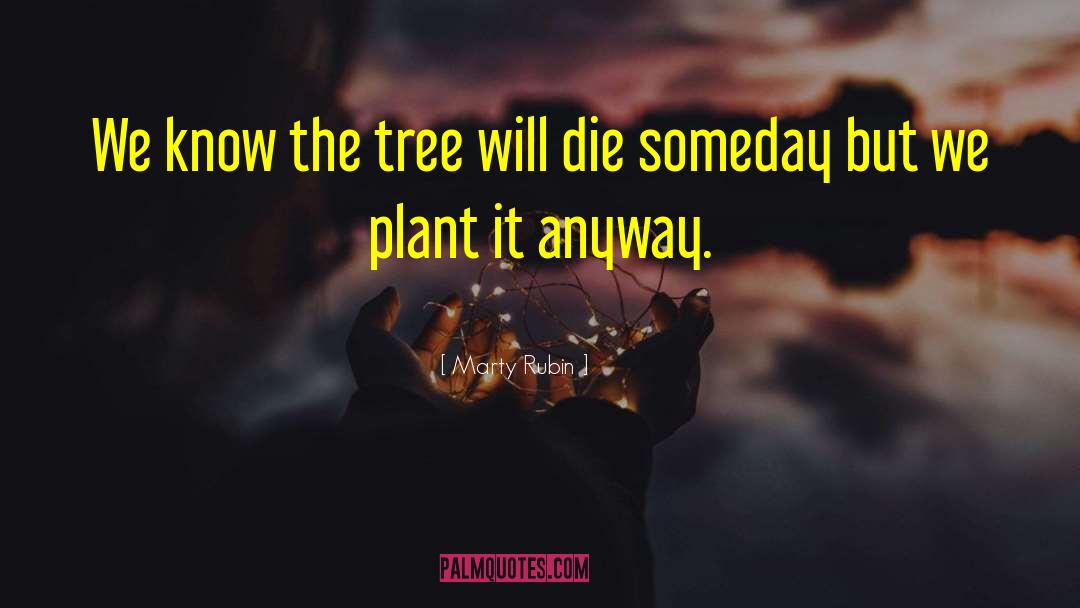 Die Someday Lyrics quotes by Marty Rubin