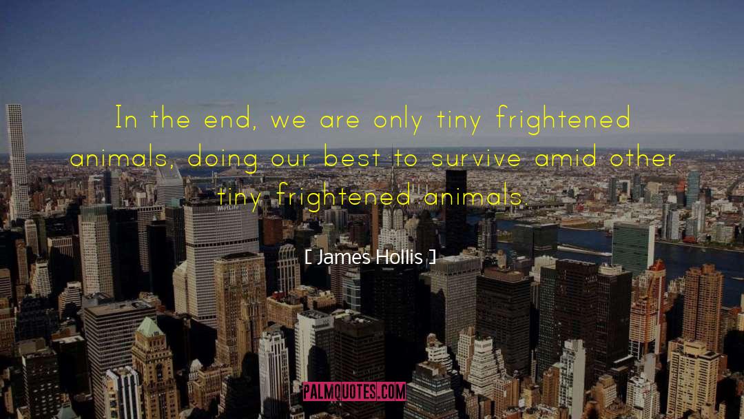 Different Animals quotes by James Hollis