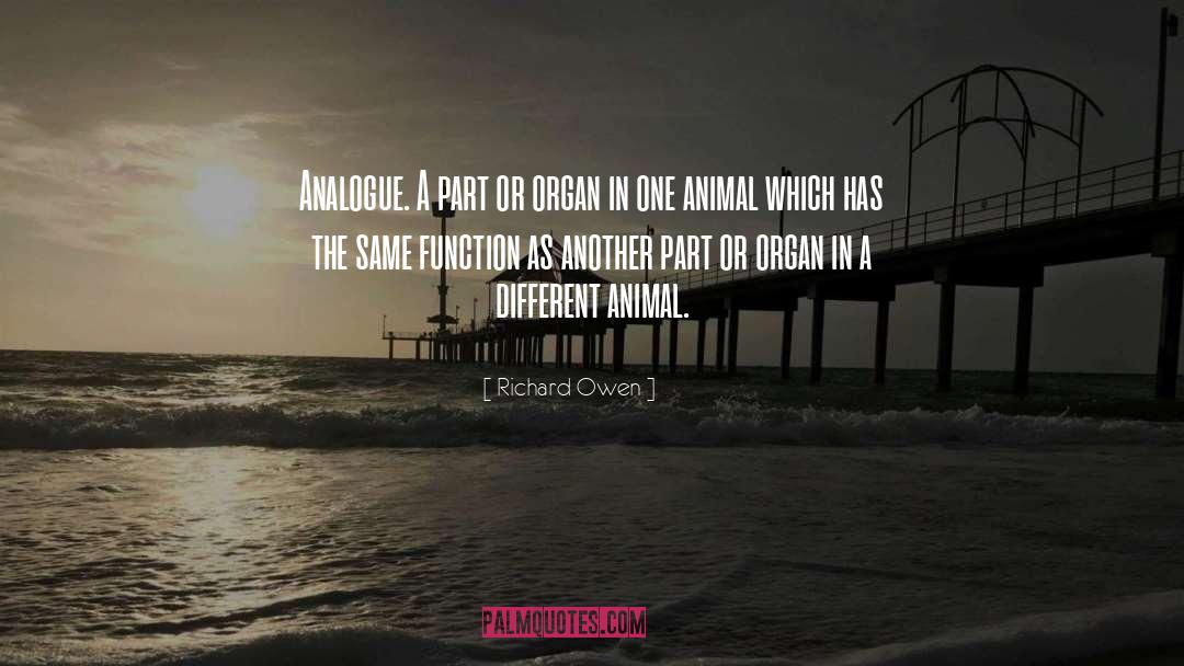 Different Animals quotes by Richard Owen