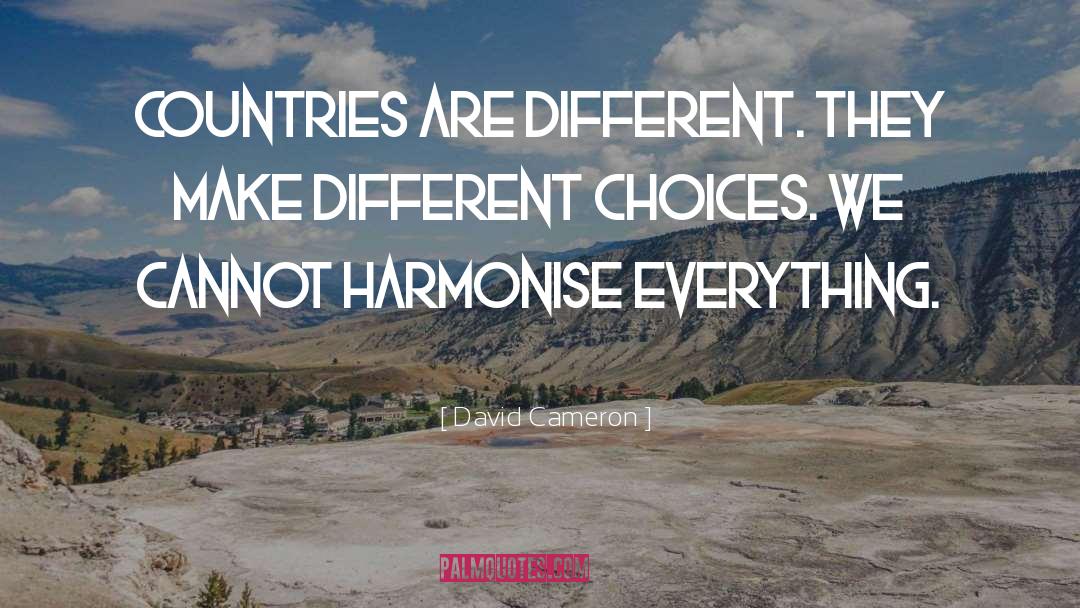 Different Choices quotes by David Cameron