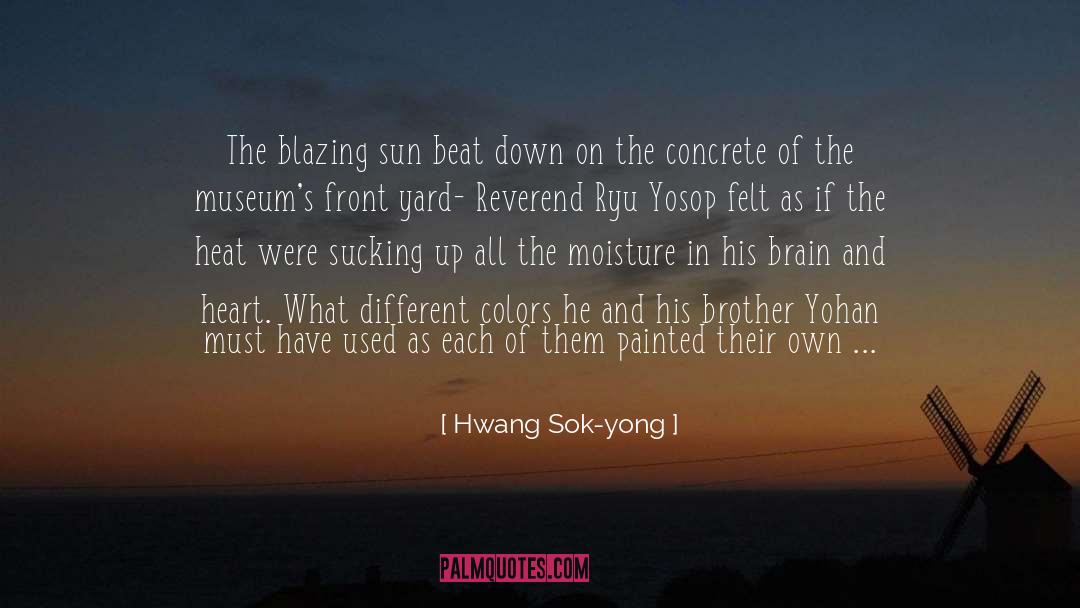 Different Colors quotes by Hwang Sok-yong