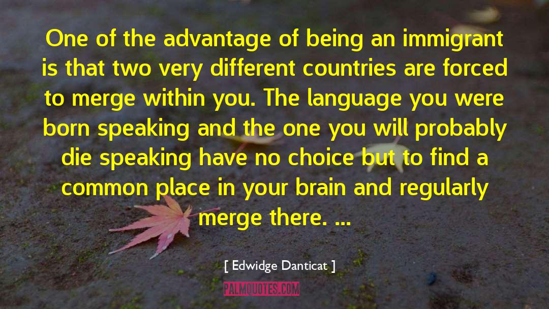 Different Countries quotes by Edwidge Danticat