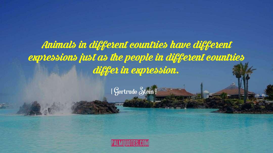 Different Countries quotes by Gertrude Stein